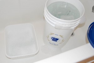 Optional bus bucket, to keep things sanitized in the kitchen